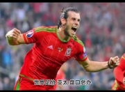 米兰体育培训-包含土耳其队风头无两，欧预赛大获成功的词条