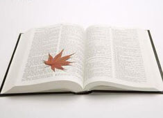 阿森纳主场击败伯恩茅斯，稳固前六位置