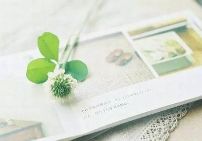 阿森纳阵容大调整，备战下一场比赛