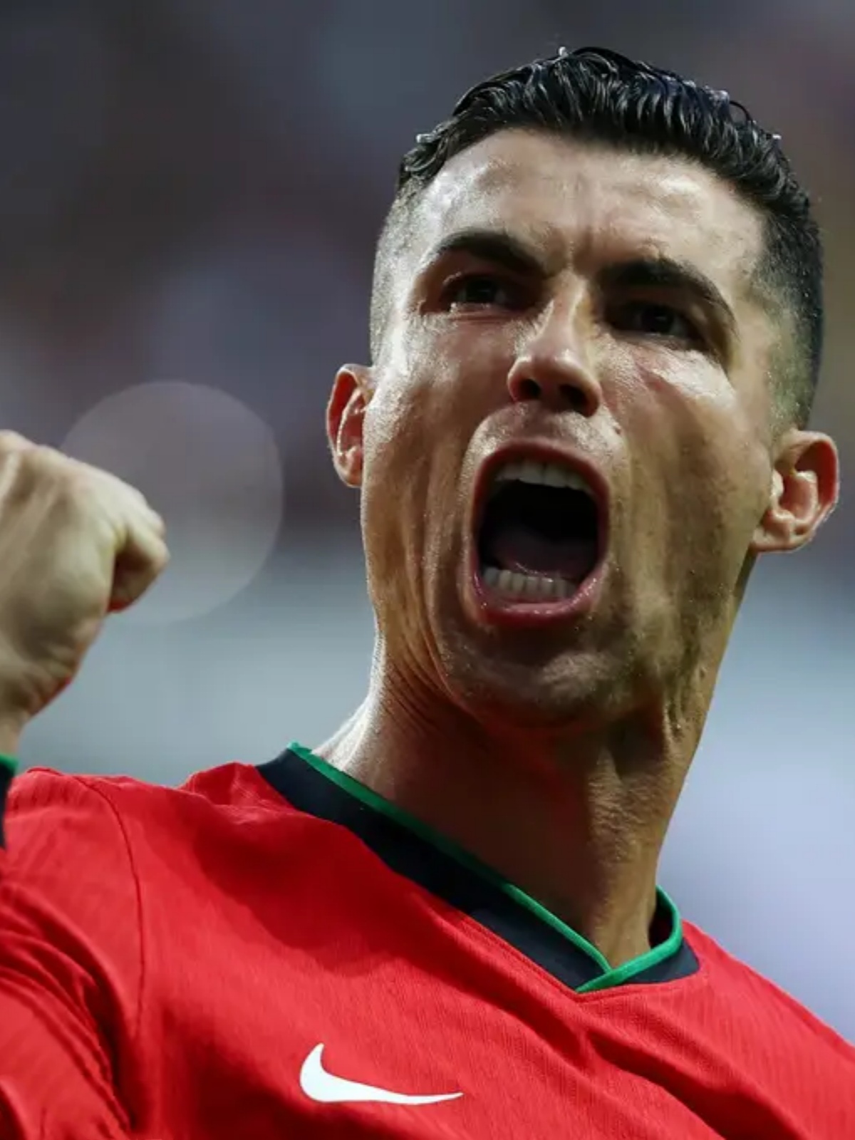 葡萄牙队在欧洲杯预选赛中豪取三分的简单介绍